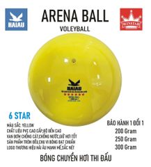 Quả Bóng Chuyền Hơi Hải Âu Arena Ball Màu Xanh