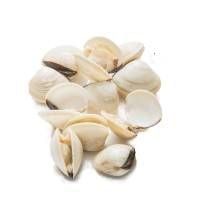  Ngêu cấp đông 40-60 