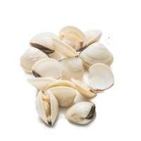  Ngêu cấp đông 40-60 