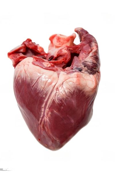  Tim heo đen Xứ Mường 