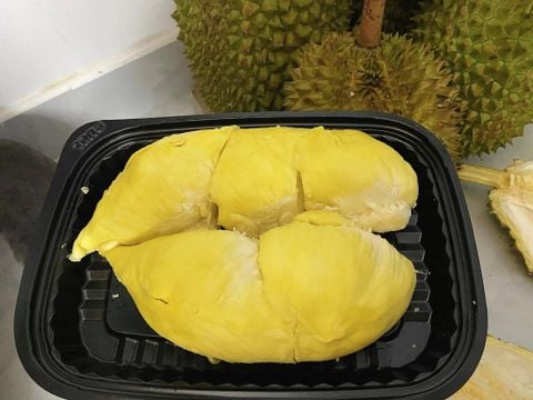  SẦU RIÊNG THÁI CẤP ĐÔNG 