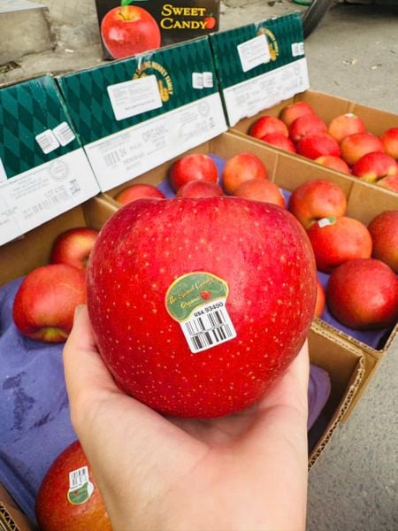  Táo mật Mỹ hữu cơ EVERCRISP 