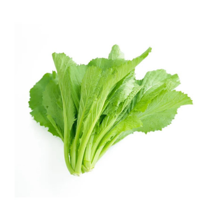  Cải bẹ xanh hữu cơ ( Cải canh) 