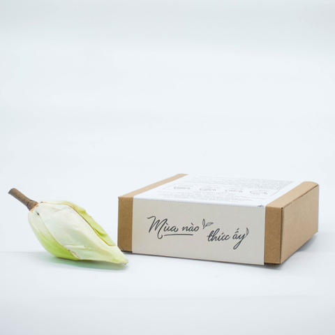  Trà Hoa Sen Trắng MÙA 