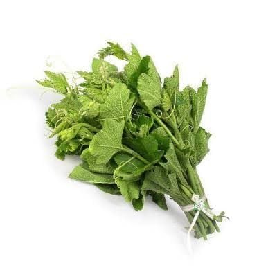  Đọt bí hữu cơ 