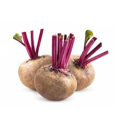  Củ dền hữu cơ 