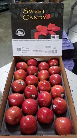  Táo mật Mỹ hữu cơ EVERCRISP 