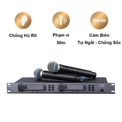 Micro Không Dây TRS LIVE-300