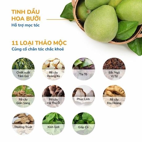 Dầu Gội Hoa Bưởi 250ml – Giảm Gãy Rụng & Hỗ Trợ Mọc Tóc NEO NATURE