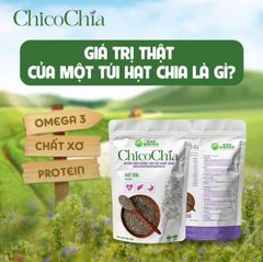 Hạt Chia Nguyên Chất