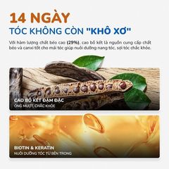 Dầu Gội Bồ Kết Giảm Rụng Óng Mượt Tóc NEO Nature 250ml