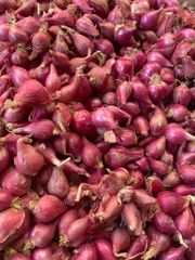 Hành Tím Phan Rang