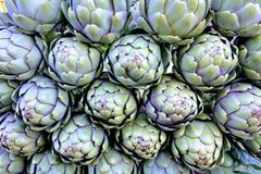 Hoa Atiso Đà Lạt