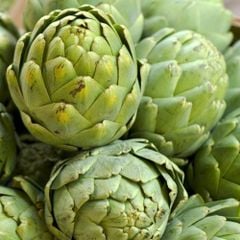 Hoa Atiso Đà Lạt