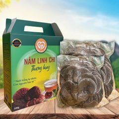 Nấm Linh Chi Thượng Hạng