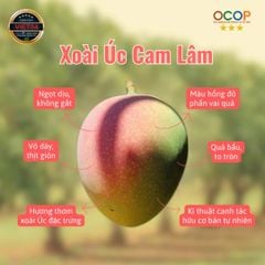 Xoài Úc Sấy Dẻo