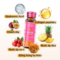 Bộ 2 Hộp Nước Nấm Đông Trùng Hạ Thảo HECTOR Sâm và HECTOR Collagen tăng đề kháng chống lão hóa