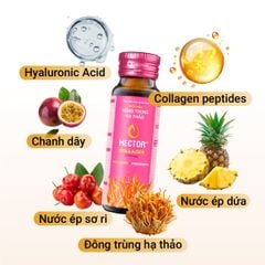 Bộ 3 hộp Thực phẩm bảo vệ sức khỏe Nước nấm đông trùng hạ thảo Hector Collagen