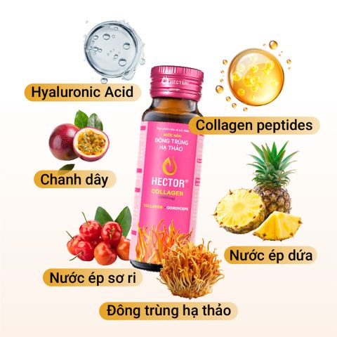Thực phẩm bảo vệ sức khỏe Nước nấm đông trùng hạ thảo Hector Collagen