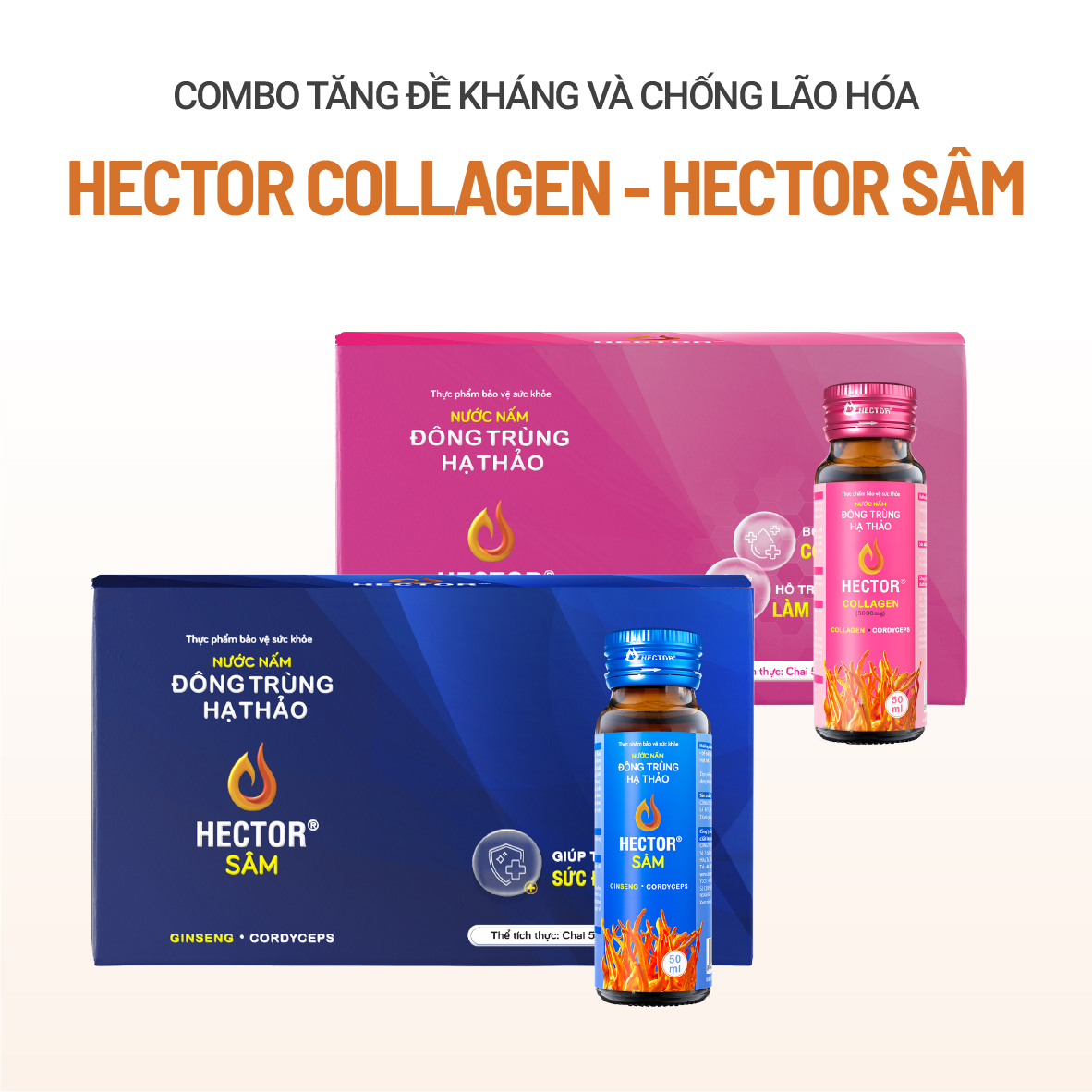 Bộ 2 Hộp Nước Nấm Đông Trùng Hạ Thảo HECTOR Sâm và HECTOR Collagen tăng đề kháng chống lão hóa
