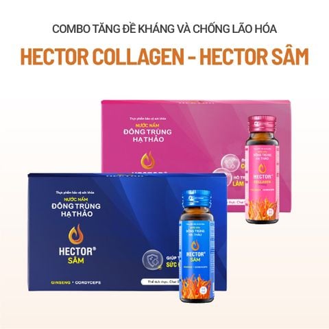 Bộ 2 Hộp Nước Nấm Đông Trùng Hạ Thảo HECTOR Sâm và HECTOR Collagen tăng đề kháng chống lão hóa