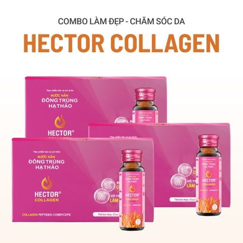 Bộ 3 hộp Thực phẩm bảo vệ sức khỏe Nước nấm đông trùng hạ thảo Hector Collagen