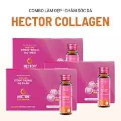 Bộ 3 hộp Thực phẩm bảo vệ sức khỏe Nước nấm đông trùng hạ thảo Hector Collagen