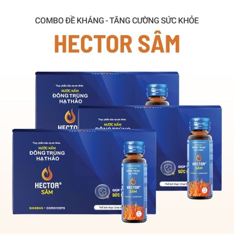 Bộ 3 hôp Thực phẩm bảo vệ sức khỏe Nước nấm đông trùng hạ thảo Hector Sâm