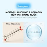  Kem Chống Nắng Nâng Tone Chống Già Làm Sáng & Đều Màu Da Slowpure Glow Up Fluid Sun Serum SPF50+ PA++++ 50ml 