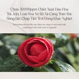  Son Dưỡng Môi Căng Bóng & Làm Đầy Rãnh Môi Thuần Chay Pinate Natural Bloom Lip Oil Serum 4.3ml 