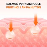  Ampoule Tăng Cường Độ Đàn Hồi, Săn Chắc Da Cell Fusion C Salmon PDRN Ampoule 