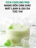  Toner Pad Hạ Nhiệt & Làm Dịu Da Khẩn Cấp Cho Da Mụn Nhạy Cảm Cell Fusion C Post α CICA Cooling Pad 70 miếng 