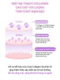  Mặt Nạ Thạch Collagen Hỗ Trợ Dưỡng Sáng Nâng Cơ Giảm Nhăn Cấp Ẩm Căng Bóng Da Cell Fusion C Glass Skin Collagen Mask 