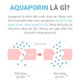  Kem Dưỡng Cấp Ẩm Làm Dịu Da & Kích Hoạt Kênh Dẫn Nước Cell Fusion C Aquaporin Cream 