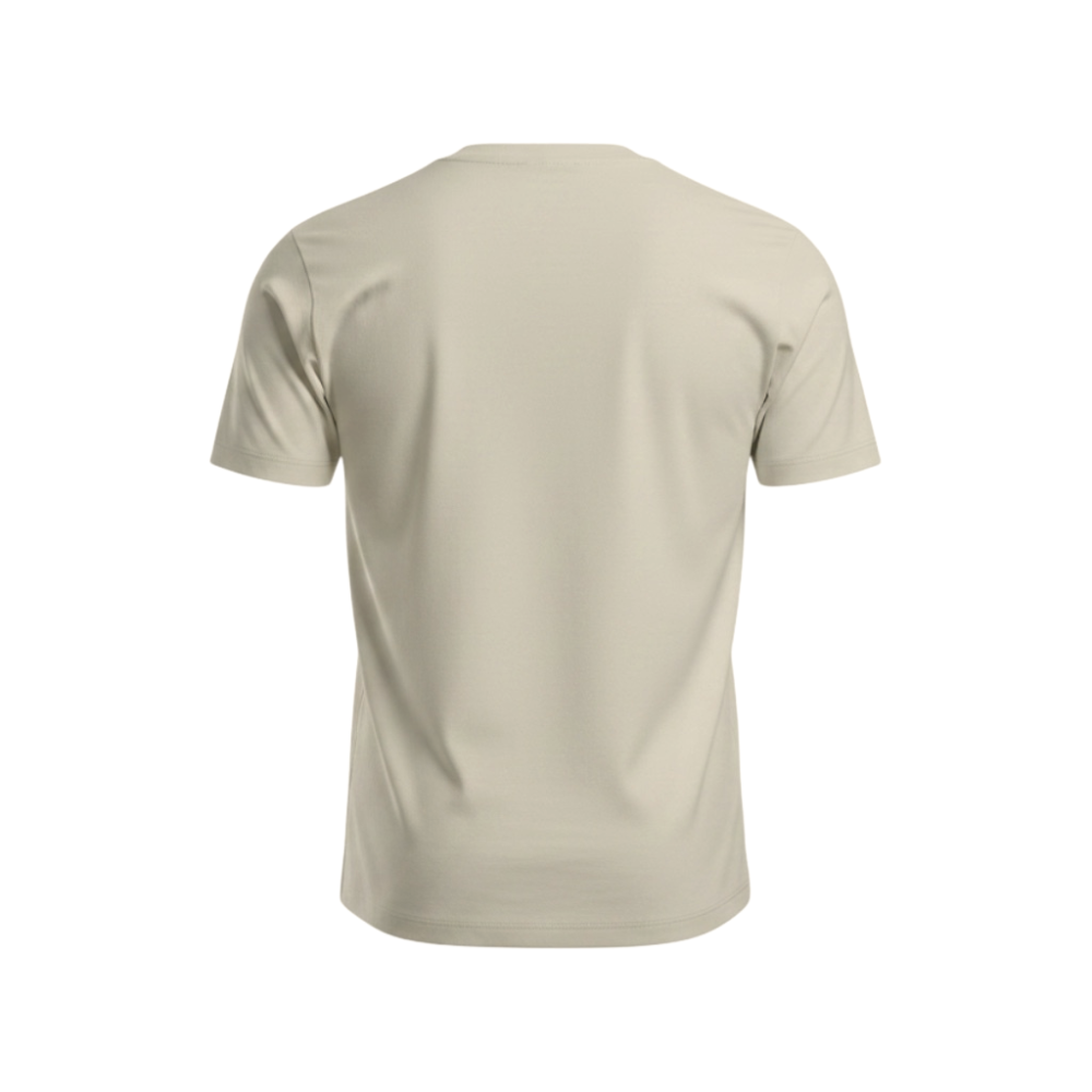 Áo Phông Thể Thao Nam PEAK P-ICE FW6253271