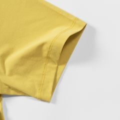 Áo Phông Nam PEAK Travel Cổ Khoá P-DRY FW6253171