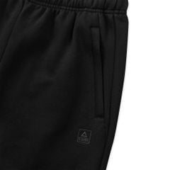 Quần Dài Nỉ Nam PEAK FW3254351