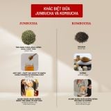  Junbucha Quýt Mùi 330ml 