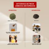  Junbucha Apricot 750ml 