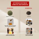  Junbucha Kumquat 750ml 