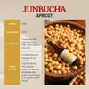  Junbucha Apricot 