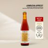  Junbucha Apricot 