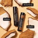  Combo Son Dưỡng Môi Dầu Dừa Bến Tre 5g Cocoon + Son Tẩy Da Chết Môi Cà phê Đắk Lắk 5g Cocoon 