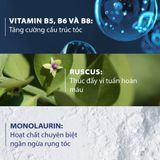  Dầu Gội Ngăn Ngừa Và Giảm Rụng Tóc Ducray ANAPHASE+ Anti-hairloss Complement Shampoo Cho Tóc Mỏng Yếu 200ml 