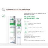  Gel Chấm Mụn Farmona Dermacos Anti Acne Imperfection Spot Gel Chứa Bùn Hoạt Tính Giảm Mụn Hiệu Quả 15ml 