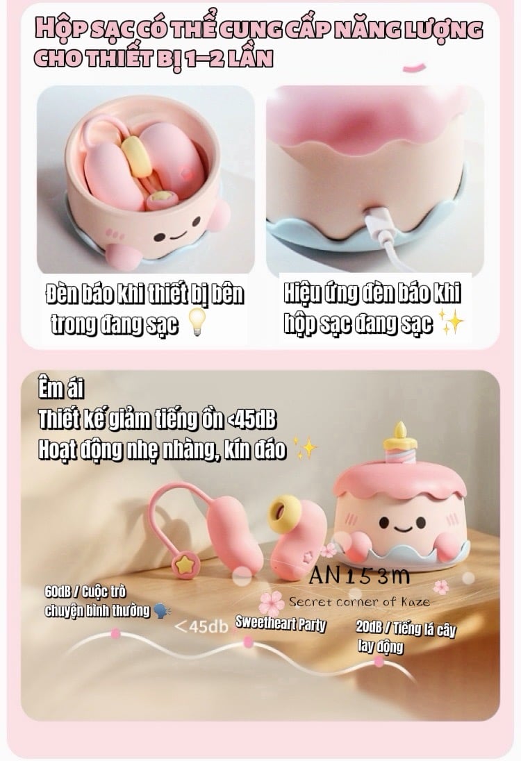 Birthday cake bánh kem sinh nhật AN153M