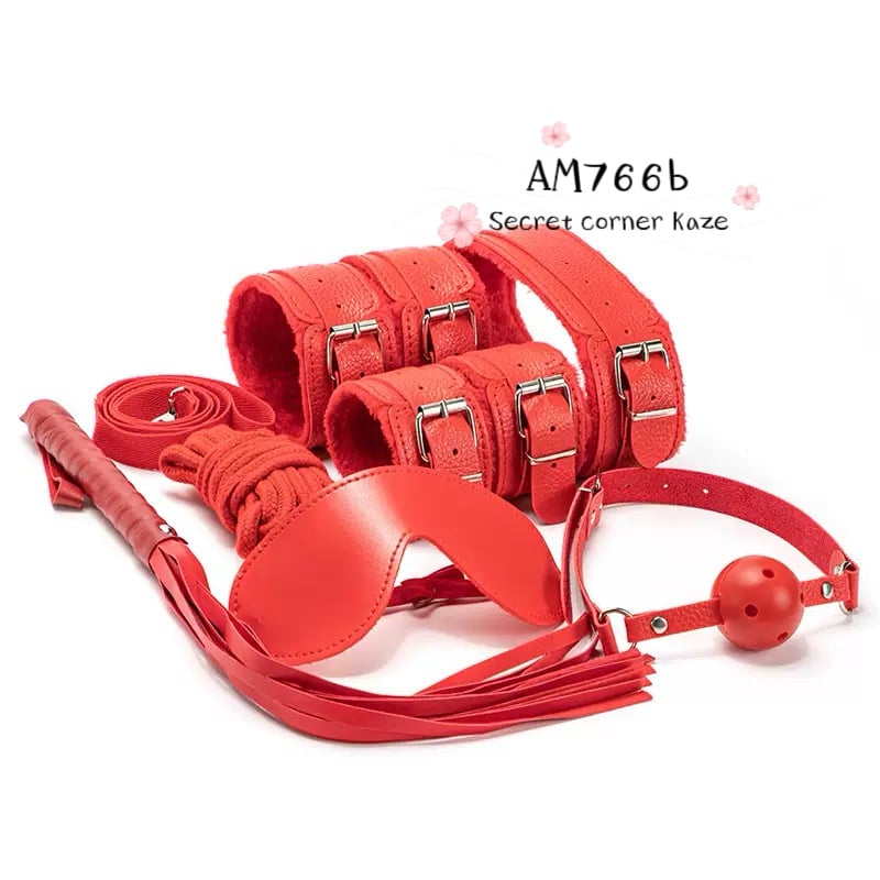 BDSM set Am766b