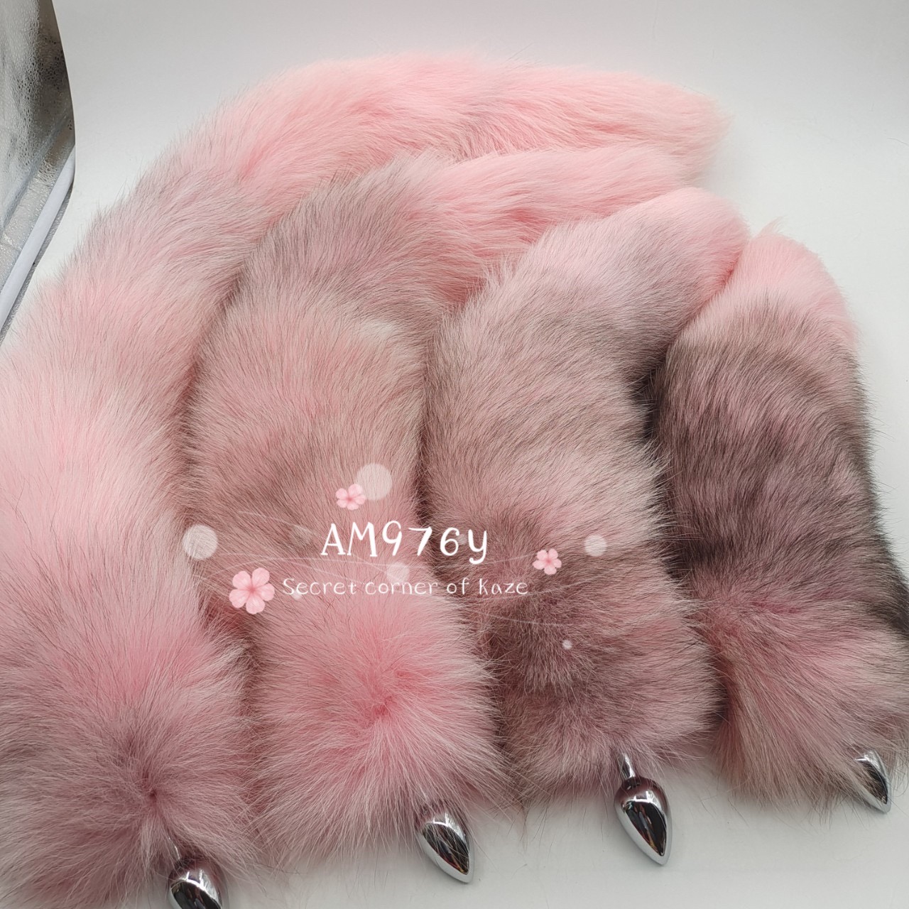 Đuôi cáo nhiều màu AM976y