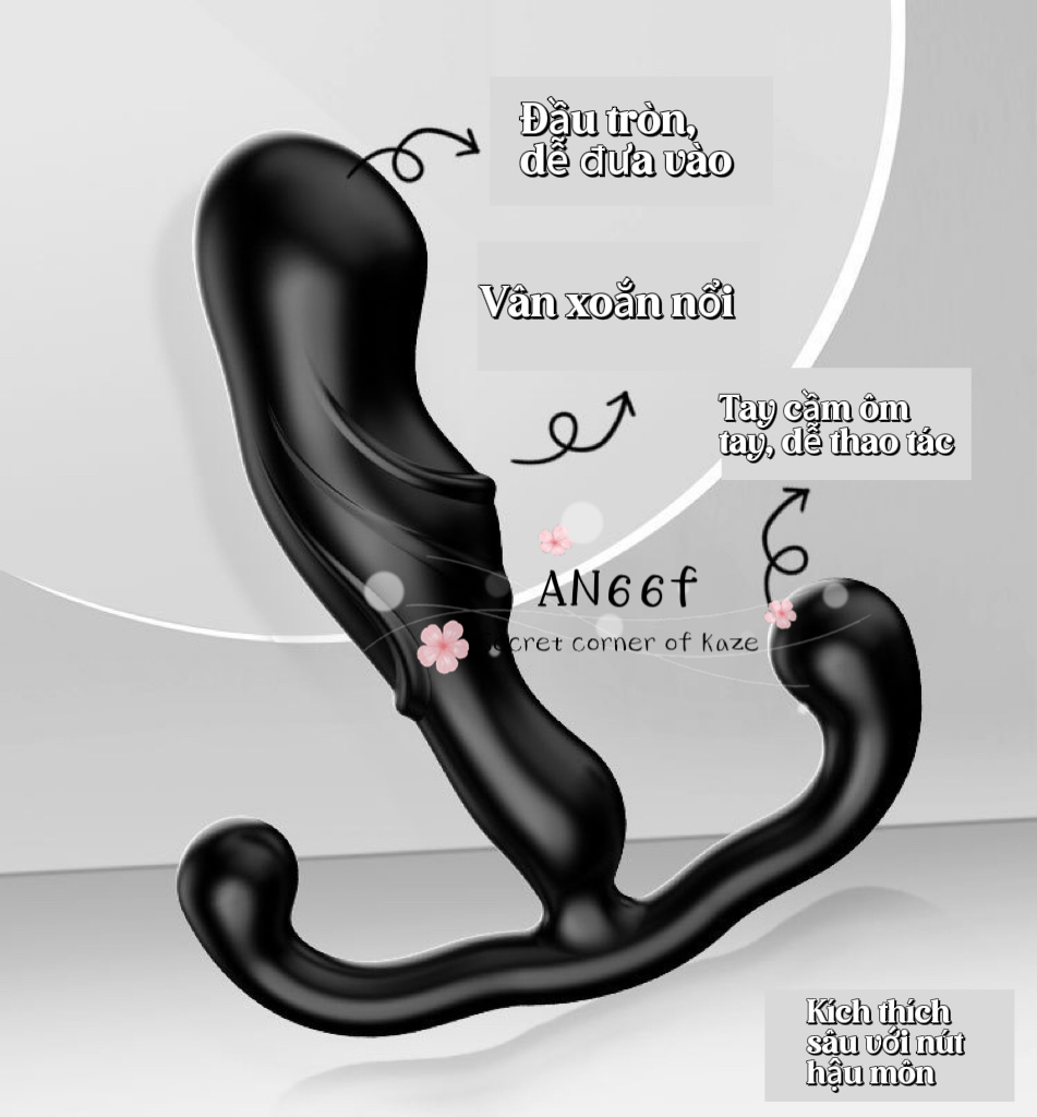 Plug cửa sau AN66f
