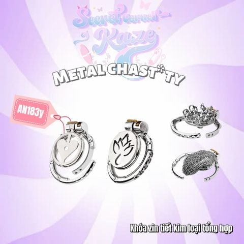 Khóa zin tiết tổng hợp AN184y